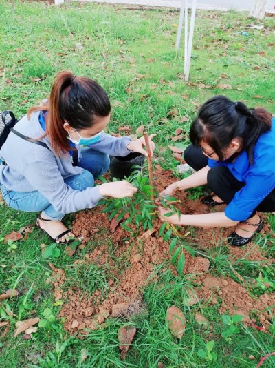 Chương trình "Em yêu môi trường xanh - Phòng chống rác thải nhựa" trong trường học NH 2020-2021
